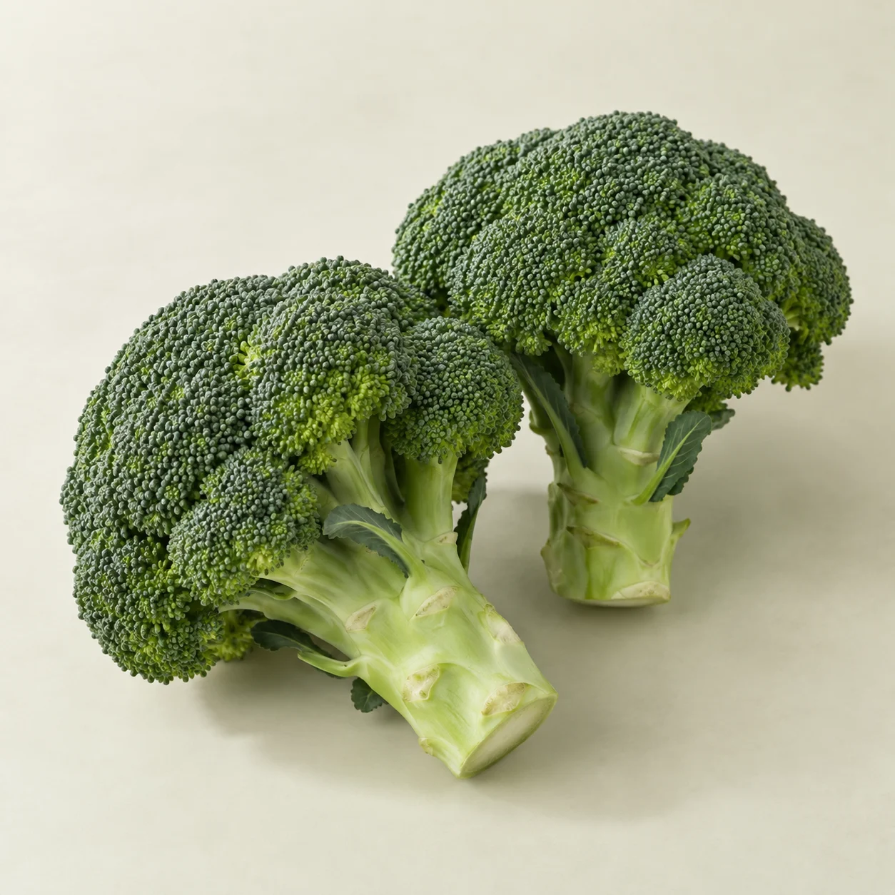 Brócoli / Broccoli