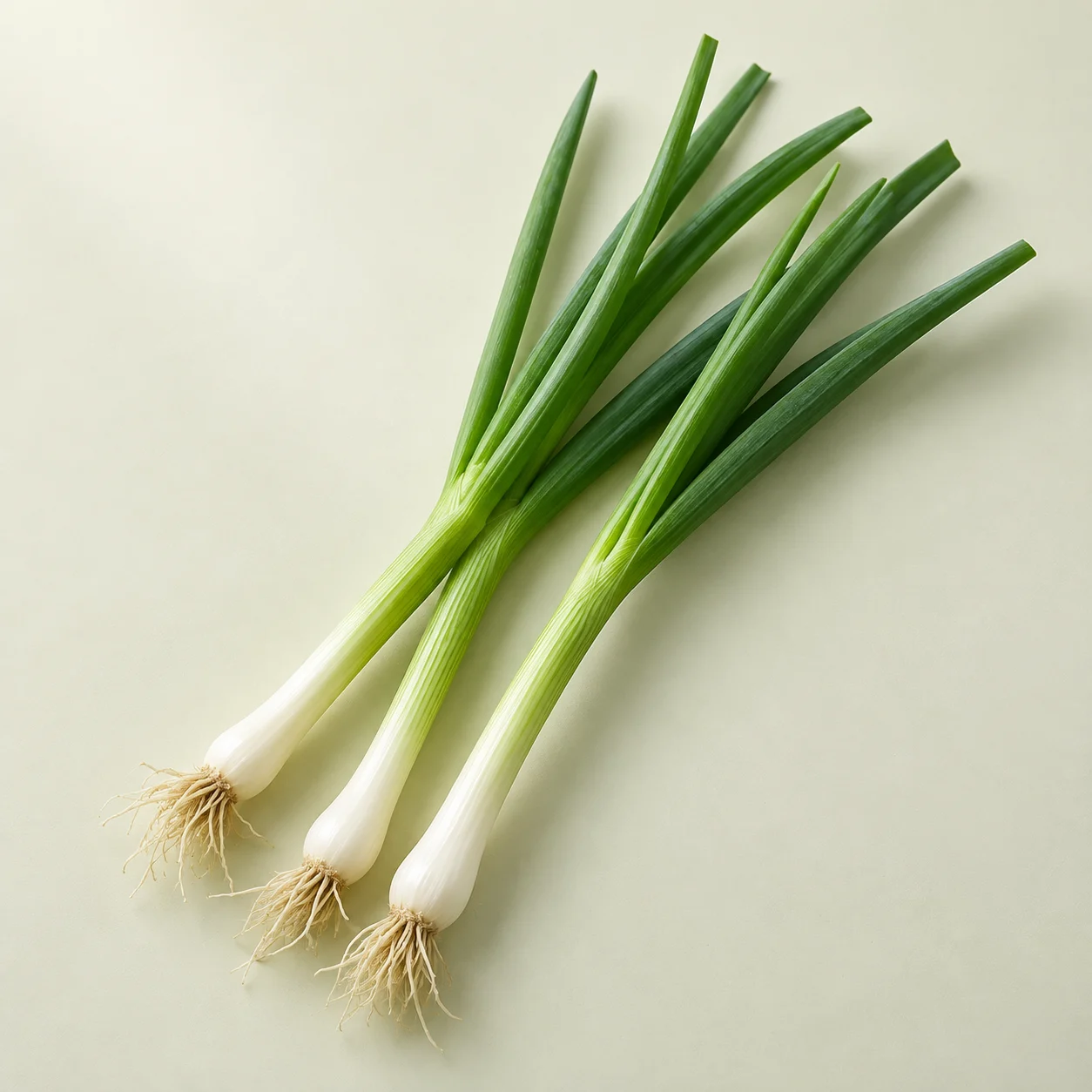 Cebollín / Green onions
